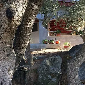  Vakantiehuis S'umbra De S'ozzastru Italië